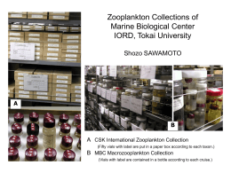 Zooplankton Collection of Marine Biological Center IORD, Tokai