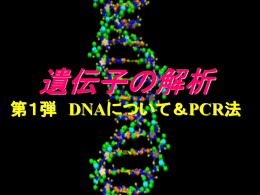 DNAシークエンス1