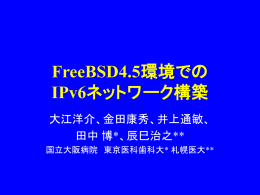 FreeBSD4.5環境での IPv6ネットワーク構築