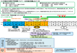 「日本脳炎の定期予防接種について」（パワーポイント：252KB）