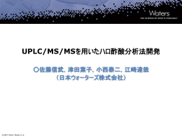 タイトルの入力（24pt） 日本語フォント MS UI Gothic 英語フォント Verdana