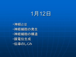 プレゼンテーションのダウンロード