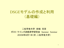 DSGEモデルの作成と利用 （基礎編）