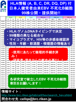 HLA情報 (A, B, C, DR, DQ, DP) 付 日本人健常者由来EBV 不死化B