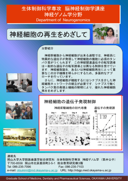 PowerPoint プレゼンテーション - 岡山大学医療系キャンパス 医療系総合