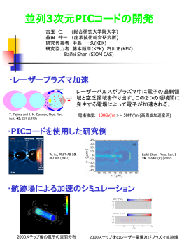 研究紹介(pdf)