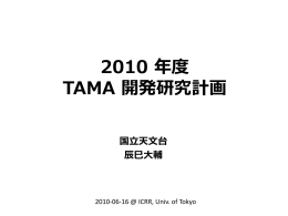 2010 年度 TAMA 開発研究計画