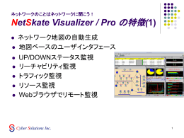 NetSkate Visualizer / Pro の特徴(1)