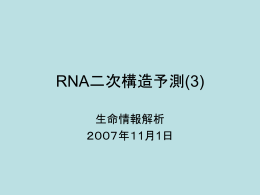 RNA二次構造予測(1)