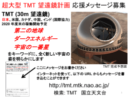 （1）TMT計画の概要