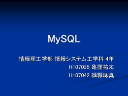 MySQL2010