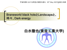 Braneworld Black HoleとDark Energy、そしてLandscape