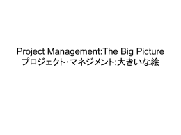 Project Management: The Big Picture