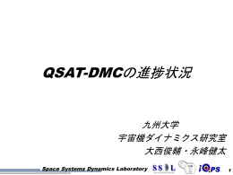 永峰 健太 「QSAT-DMCの開発状況」