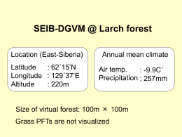 SEIB-DGVM @ Larch forest