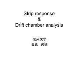 Strip study & Drift chamber analysis