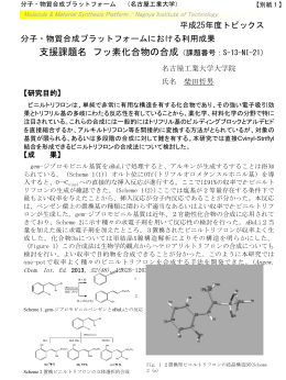 PDFダウンロード - 分子・物質合成プラットフォーム