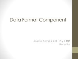 Data Format Component