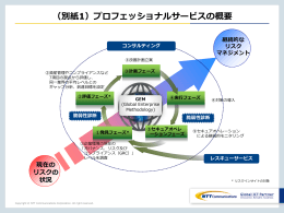 NTT Communications PowerPoint Template(38pt)