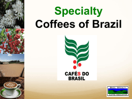 Ms. Vanusia Nogueira Specialty Coffees of Brazil