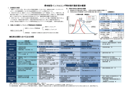 「堺市新型インフルエンザ等対策行動計画の概要（平成26年6月）」（PDF