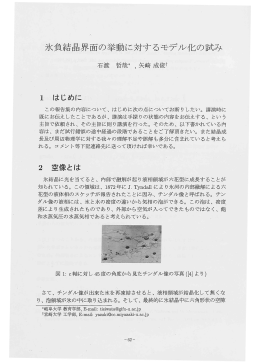 氷負結晶界面の挙動に対するモデル化の試み