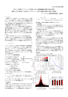 光てこ AFM のダイナミック計測における振動振幅の補正手法の研究 (熱