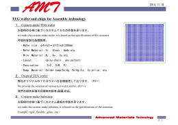 Hitachi ULSI Systems Co .,Ltd.