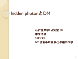 hidden photonとDM