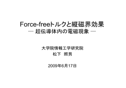 学内講演会(2009/6/17)の資料 300k)