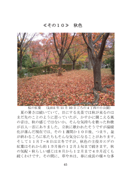 ≪その10≫ 秋色 - ソワール新檜尾台