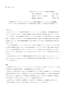 PDF形式 - 広島大学ナノテクノロジープラットフォームプロジェクト