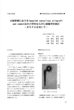 ous a!:ograft and cement法の力学的ならびに組織学的検討