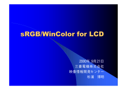 sRGB／WinColor for LCD(PDF562KB)