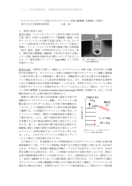 ひょうご科学技術協会 奨励研究助成成果報告書(2012) 「マイクロ