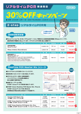 期間：2006年12月11日∼2007年2月28日（ご注文分）