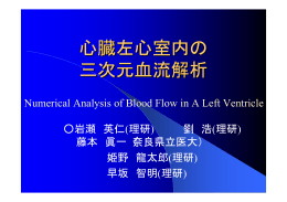 心臓左心室における3次元血流解析