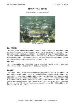 カラフトマス 日本系 - 国際漁業資源の現況