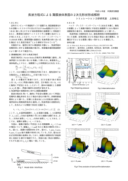 長波方程式による薄膜液体表面の2次元形状形成解析 (PDF231KB)