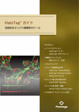 HaloTag® ガイド