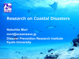 Prof Mori (Research on Coastal Disasters) [DPRI]