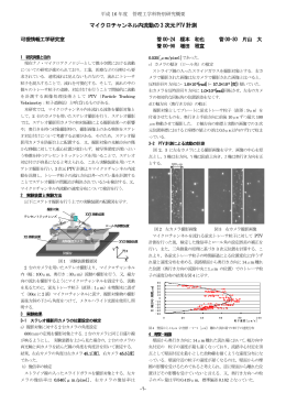 可視情報工学研究室 (pdf ファイル 1723KB，1～16ページ)