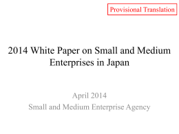2014 White Paper on Small and Medium Enterprises in