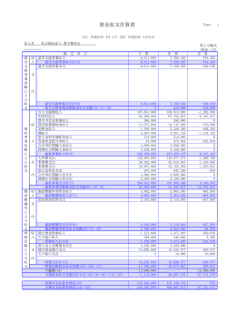 21年度資金収支計算書（PDF）