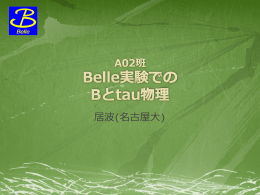 A02 総括 「Belle実験でのBとタウ物理」