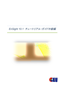 EnSight 10.1 チュートリアル・ガイド中級編