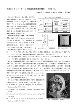 X線エリプソメーターとX線偏光顕微鏡の開発 （99S2-003）