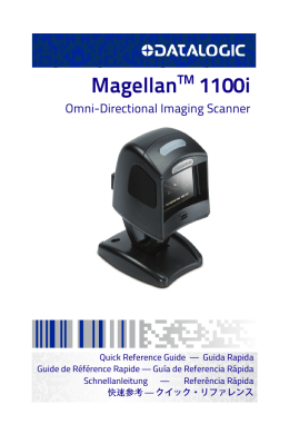 Magellan 1100i