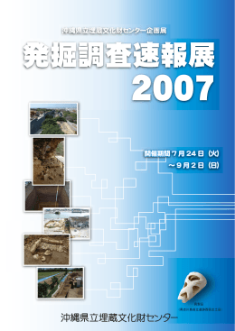 発掘調査速報展 2007（PDF：9103KB）