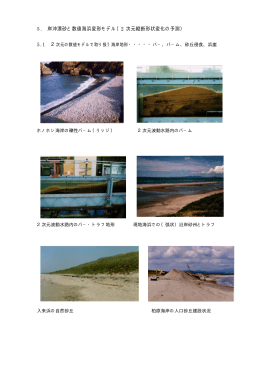 5 . 岸沖漂砂と数値海浜変形モデル - 鹿児島大学水産学部海岸環境工学